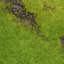 FLG Neoprene Wargaming Mats: Grasslands 1 - 44" x 60"