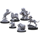 Animal Adventures: The Faraway Sea - Dogs of the Faraway Sea