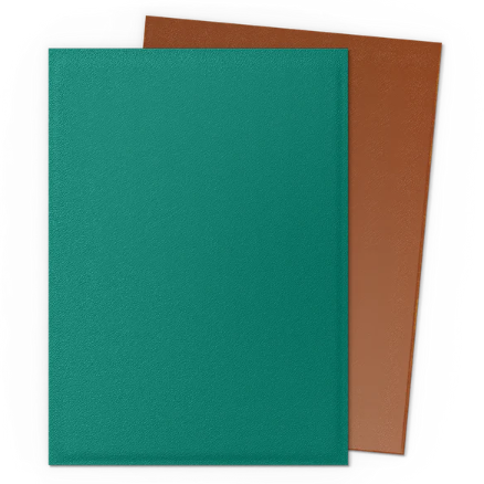 Dragon Shield Matte Dual Sleeves -  Power & Copper [100ct Standard Size]
