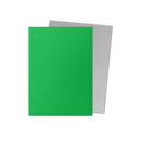 Dragon Shield Matte Dual Sleeves - Apple Green and Silver [100ct Standard Size]