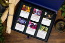 Daggerheart RPG: Core Set