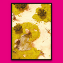 Epic Encounters: Savannah of the Gnoll