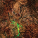 FLG Neoprene Wargaming Mats: Irradiated Plains - 44" x 60"