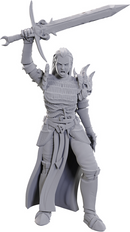 D&D Nolzur's Marvelous Miniatures: W25 Blackguard [Unpainted]