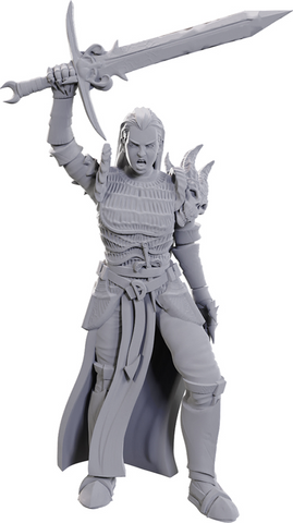 D&D Nolzur's Marvelous Miniatures: W25 Blackguard [Unpainted]