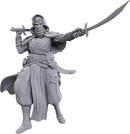 Pathfinder Battles Deep Cuts Miniatures: W23 Desert Giant [Unpainted]