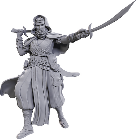 Pathfinder Battles Deep Cuts Miniatures: W23 Desert Giant [Unpainted]