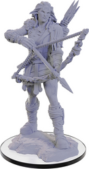 Pathfinder Battles Deep Cuts Miniatures: W22 Wood Giant [Unpainted]
