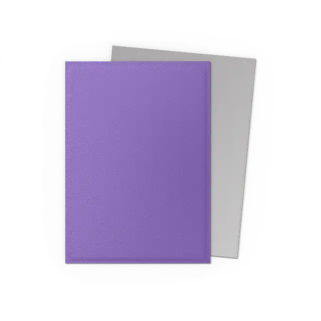 Dragon Shield Dual Matte Sleeve - Nebula & Silver [100ct Standard Size]