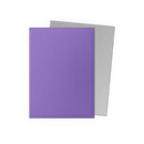 Dragon Shield Dual Matte Sleeve - Nebula & Silver [100ct Standard Size]