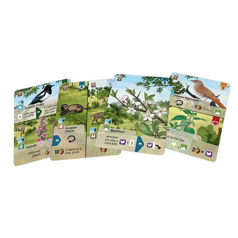 Forest Shuffle: Woodland Edge [Expansion]