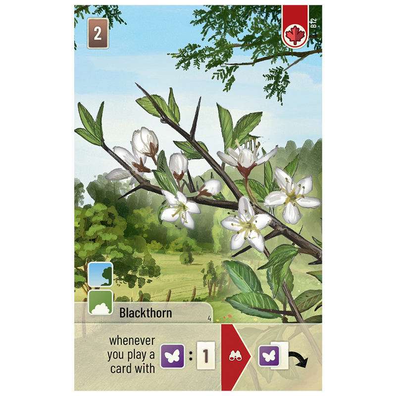 Forest Shuffle: Woodland Edge [Expansion]