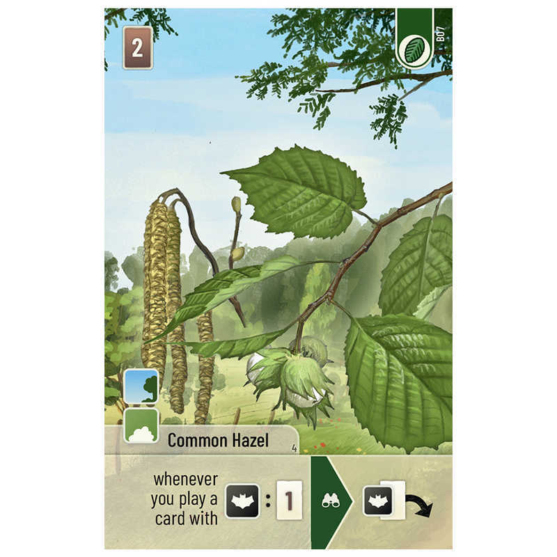 Forest Shuffle: Woodland Edge [Expansion]