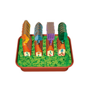 Pergola [Board Game]