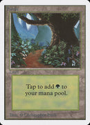 Forest (B) [Unlimited Edition]