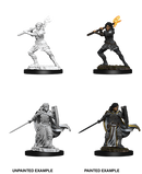 D&D Nolzur's Marvelous Miniatures: W10 Human Paladin [Unpainted]
