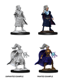 D&D Nolzur's Marvelous Miniatures: W10 Human Sorcerer [Unpainted]
