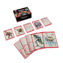Dungeons & Dragons Monster Cards: Challenge 0-5