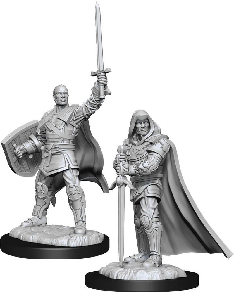 D&D Nolzur's Marvelous Miniatures: W13 Human Paladin [Unpainted]