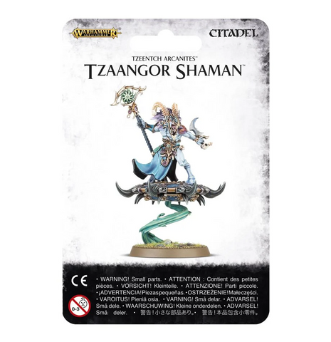 Disciples of Tzeentch Tzaangor Shaman