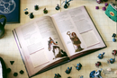 Critical Role: Tal'Dorei (Reborn) - Campaign Setting [Hardcover]