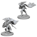 Pathfinder Battles Deep Cuts Miniatures: W04 Elf Female Paladin [Unpainted]