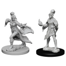 Pathfinder Battles Deep Cuts Miniatures: W01 Elf Female Sorcerer [Unpainted]