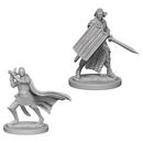 Pathfinder Battles Deep Cuts Miniatures: W02 Elf Male Paladin [Unpainted]