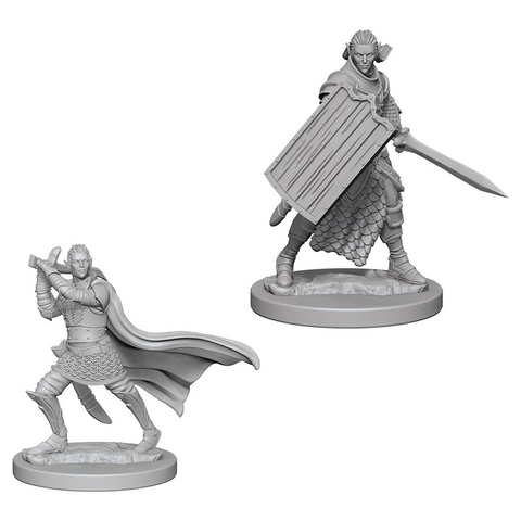 Pathfinder Battles Deep Cuts Miniatures: W02 Elf Male Paladin [Unpainted]