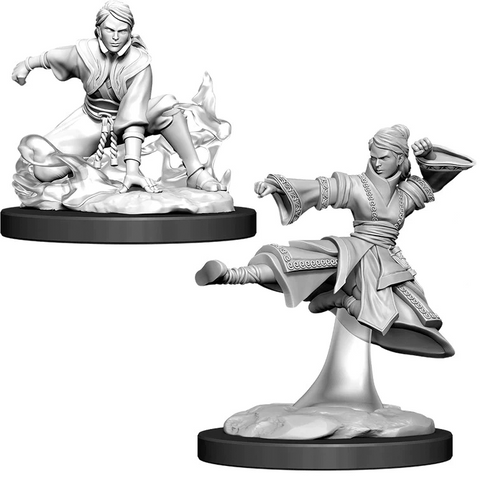 D&D Nolzur's Marvelous Miniatures: W11 Human Monk [Unpainted]