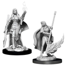 Pathfinder Battles Deep Cuts Miniatures: W11 Female Human Oracle [Unpainted]