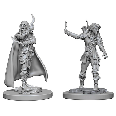 Pathfinder Battles Deep Cuts Miniatures: W01 Human Female Rogue [Unpainted]