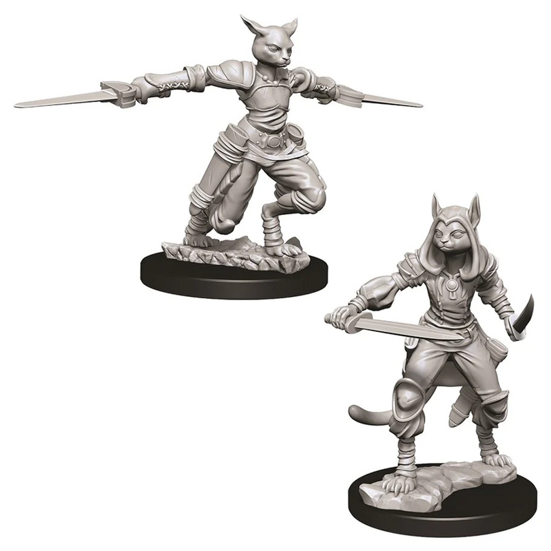 D&D Nolzur's Marvelous Miniatures: W09 Tabaxi Rogue [Unpainted]