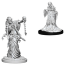 D&D Nolzur's Marvelous Miniatures: W06 Green & Night Hag [Unpainted]
