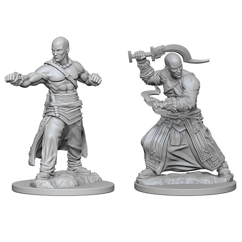 Pathfinder Battles Deep Cuts Miniatures: W01 Human Male Monk [Unpainted]