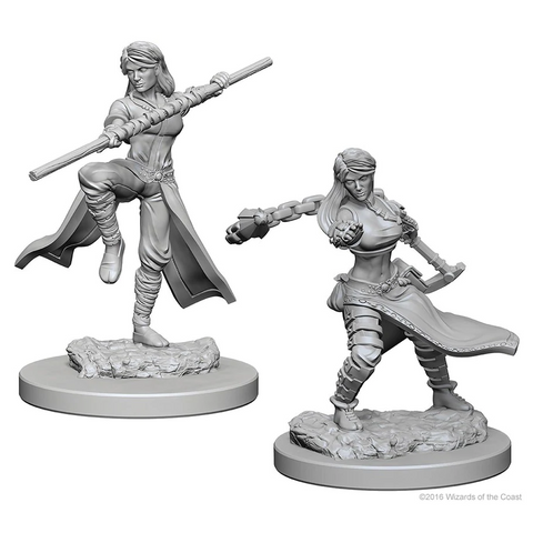 D&D Nolzur's Marvelous Miniatures: W01 Human Monk [Unpainted]
