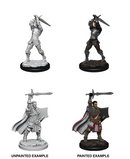 D&D Nolzur's Marvelous Miniatures: W12 Human Paladin [Unpainted]