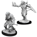 D&D Nolzur's Marvelous Miniatures: W11 Dragonborn Paladin [Unpainted]