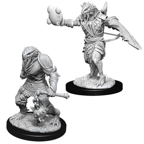 D&D Nolzur's Marvelous Miniatures: W11 Dragonborn Paladin [Unpainted]