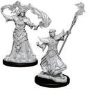 Pathfinder Battles Deep Cuts Miniatures: W11 Human Sorcerer [Unpainted]