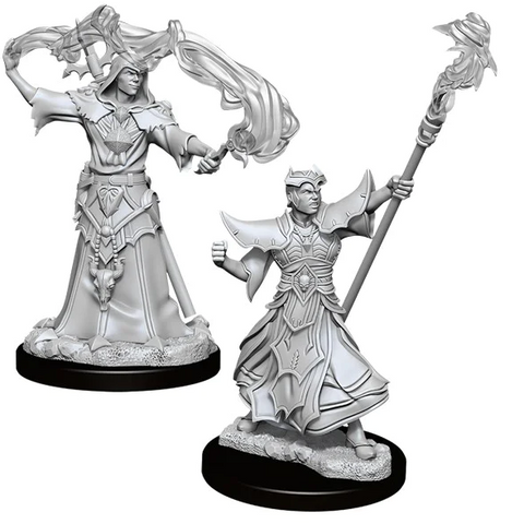 Pathfinder Battles Deep Cuts Miniatures: W11 Human Sorcerer [Unpainted]