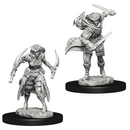 D&D Nolzur's Marvelous Miniatures: W07 Tiefling Rogue [Unpainted]