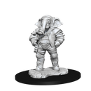 Magic: The Gathering Miniatures - W03 Qunitorius, Field Historian [Unpainted]