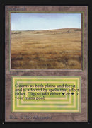 Savannah (CE) [Collectors’ Edition]