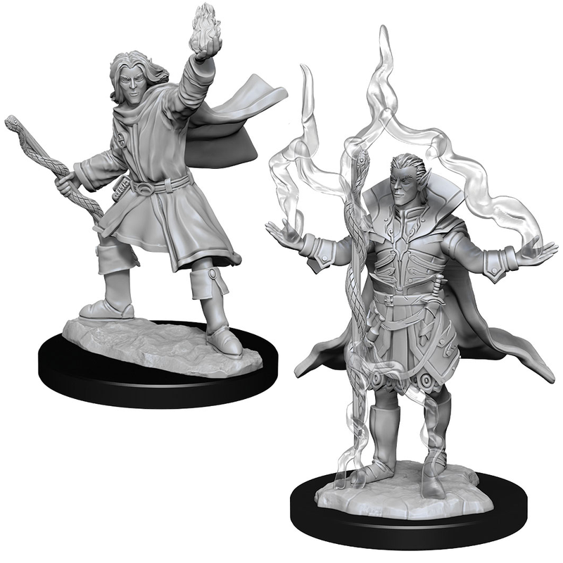 Pathfinder: Deep Cuts Miniatures - W14 Male Elf Sorcerer [Unpainted]