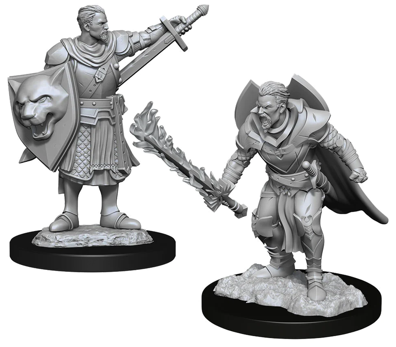 Pathfinder: Deep Cuts Miniatures - W14 Male Human Champion [Unpainted]