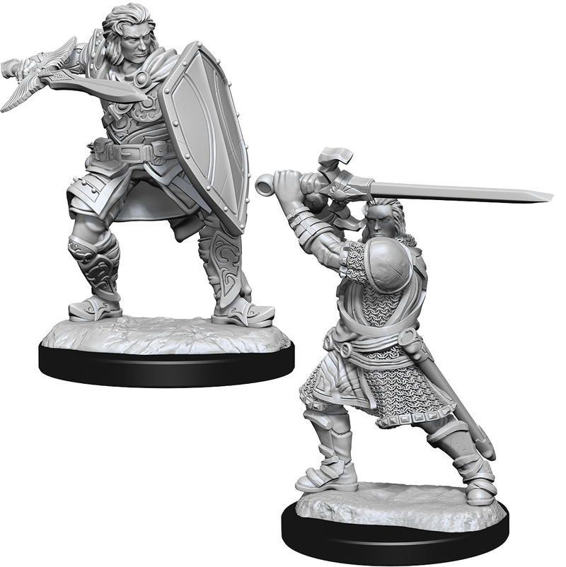 D&D Nolzur's Marvelous Miniatures: W14 Human Paladin [Unpainted]