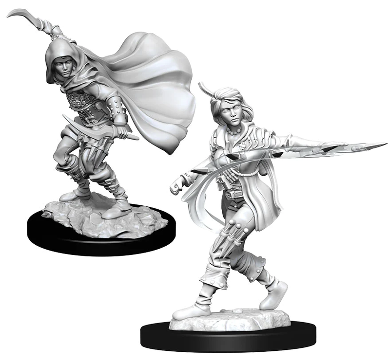 Pathfinder: Deep Cuts Miniatures - W14 Female Human Rogue [Unpainted]