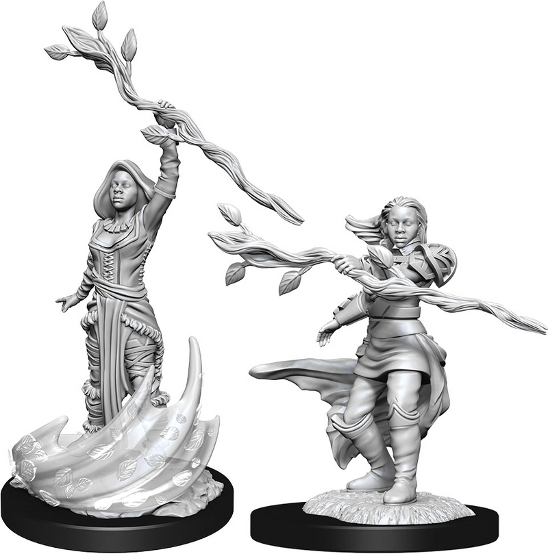 D&D Nolzur's Marvelous Miniatures: W14 Human Druid [Unpainted]