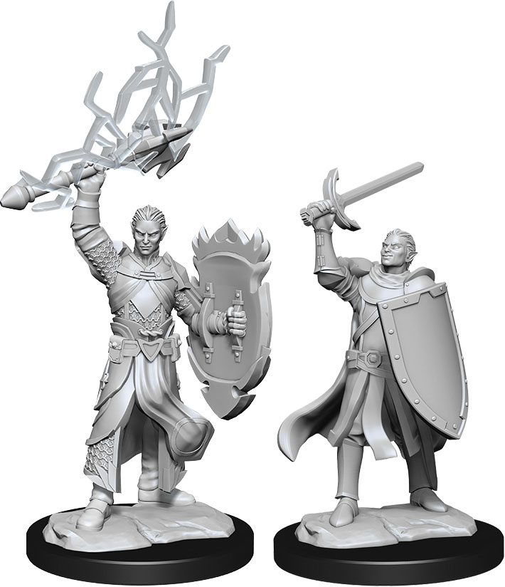 D&D Nolzur's Marvelous Miniatures: W14 Half-Elf Paladin [Unpainted]